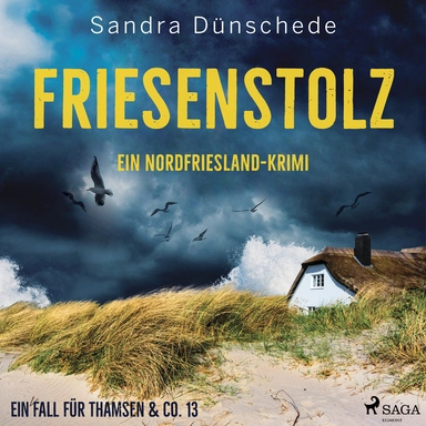 Friesenstolz: Ein Nordfriesland-Krimi (Ein Fall für Thamsen & Co. 13)