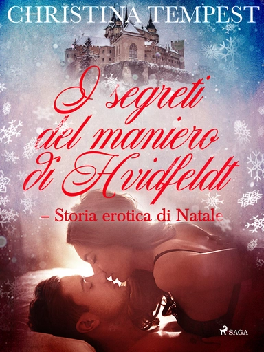 I segreti del maniero di Hvidfeldt - Storia erotica di Natale