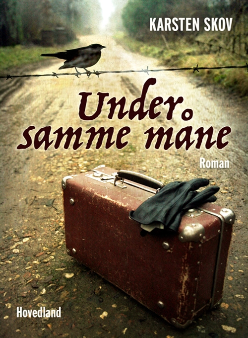 Billede af Under samme måne