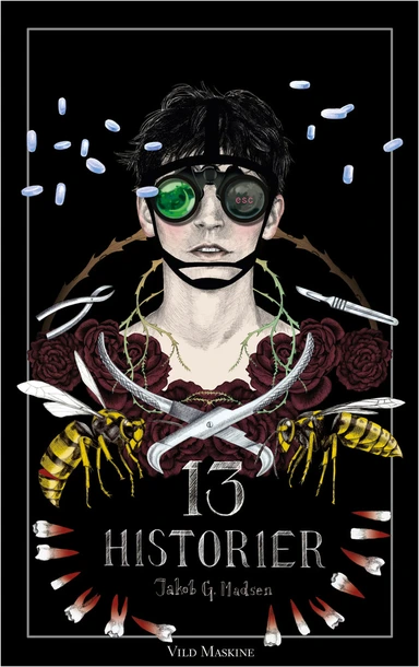 13 historier