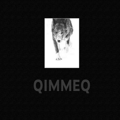QIMMEQ – The Greenland Sled Dog