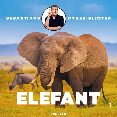 Sebastians dyrebibliotek - Elefant
