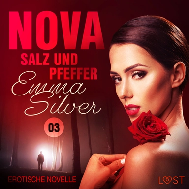 Nova 3 - Salz und Pfeffer: Erotische Novelle