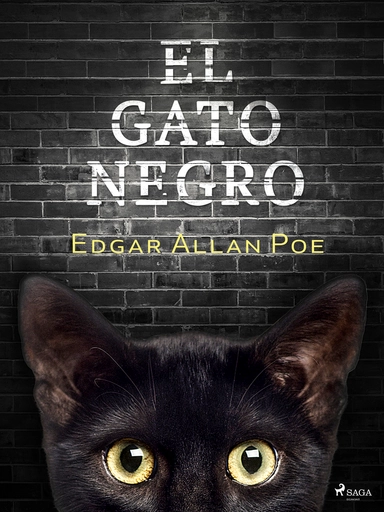 El gato negro