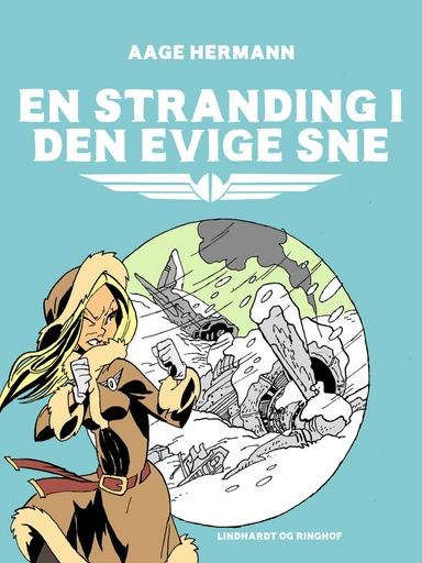 En stranding i den evige sne