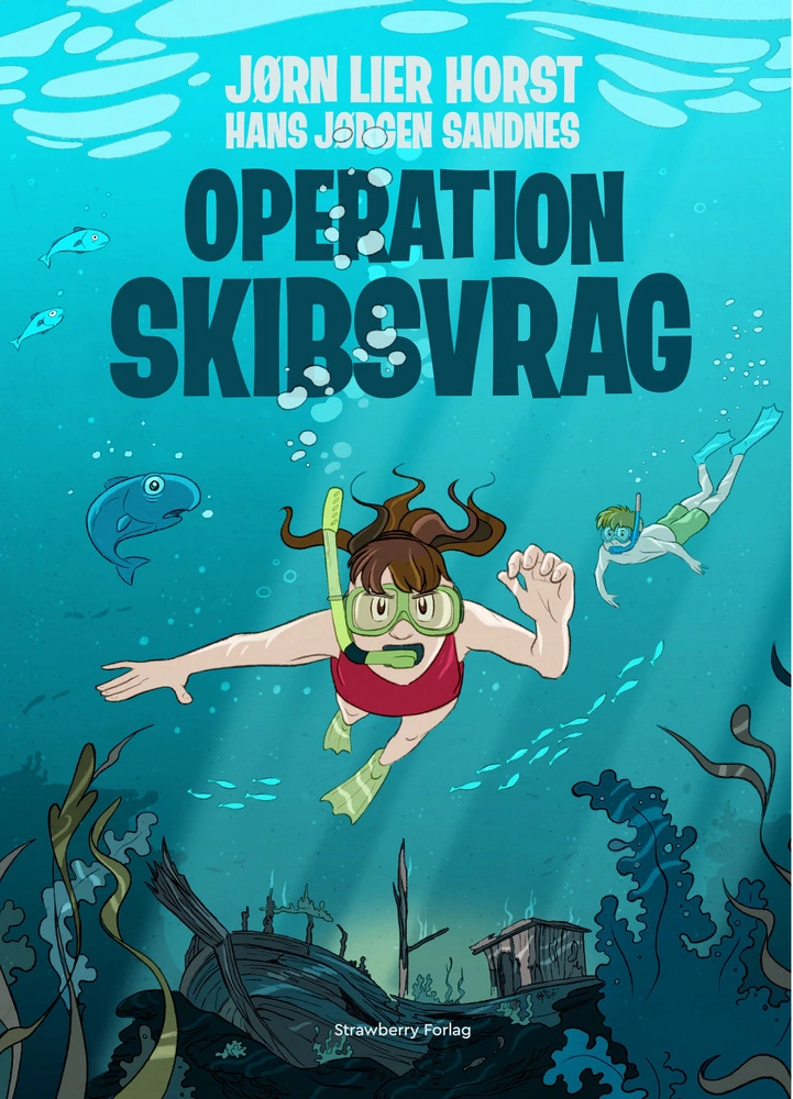 Billede af Operation Skibsvrag