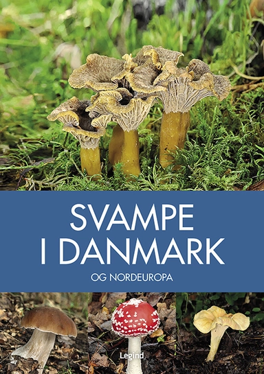 Svampe i Danmark