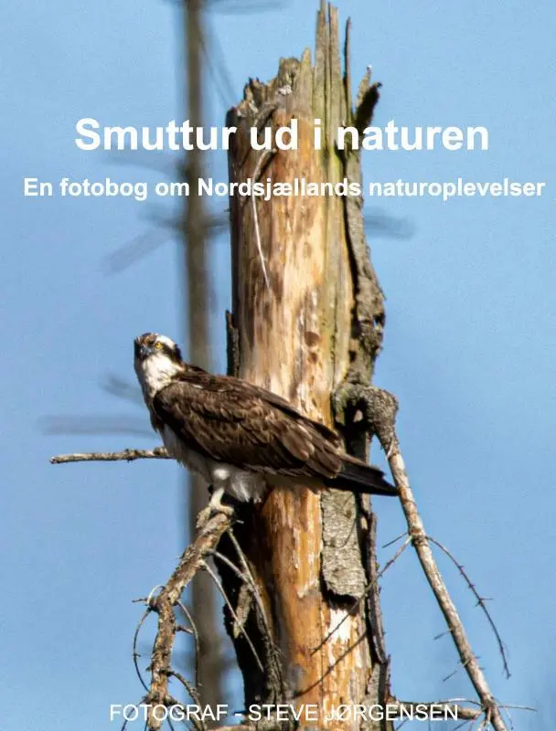 Smuttur ud i naturen