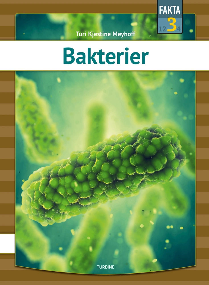 Billede af Bakterier