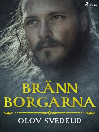 Bränn borgarna