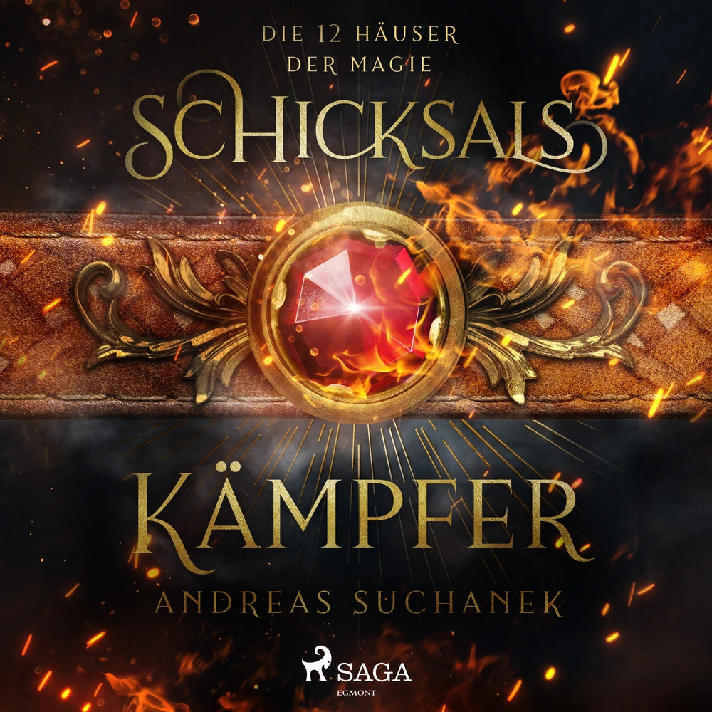 Die 12 Hauser Der Magie Schicksalskampfer