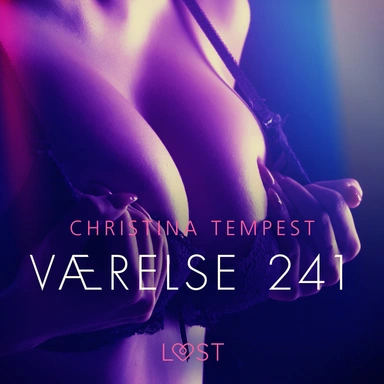 Værelse 241 - Erotisk novelle