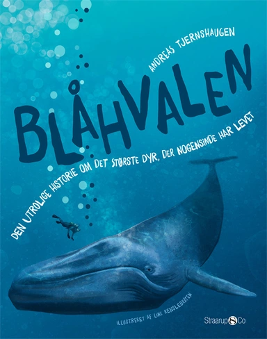 Blåhvalen