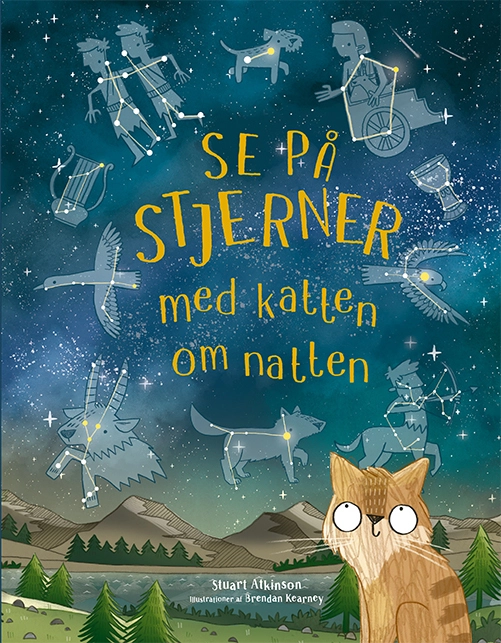 Billede af Se på stjerner med katten om natten