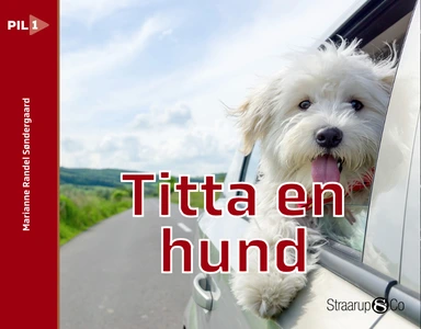 Titta en hund
