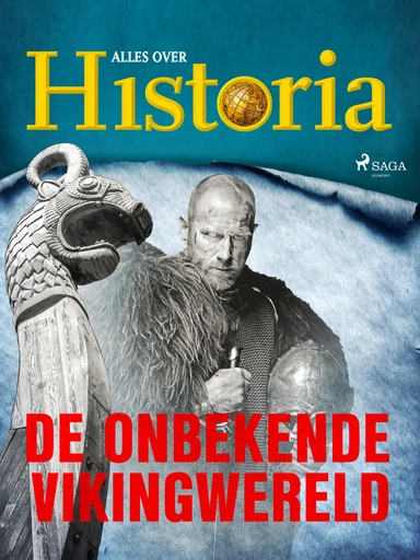 De onbekende Vikingwereld