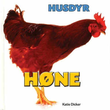 HUSDYR: Høne