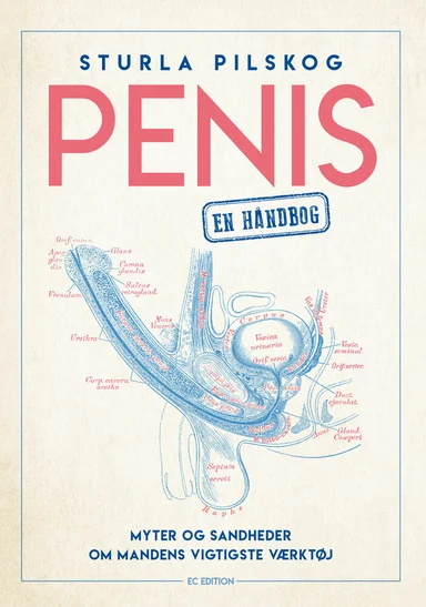 Penis – en håndbog
