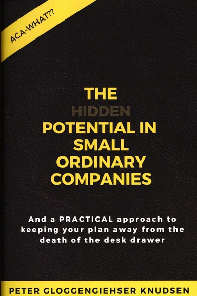 The hidden potential of small ordinary companies
