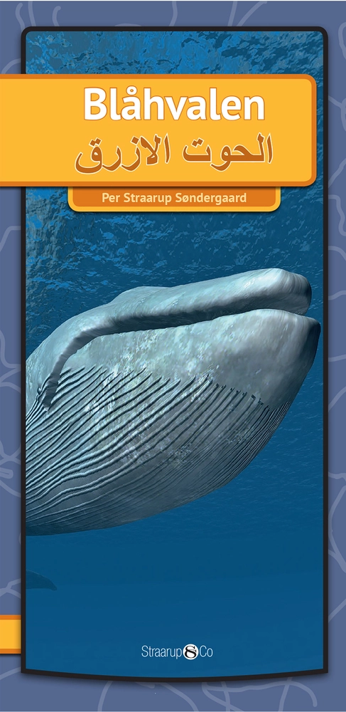 Blåhvalen (Arabisk)