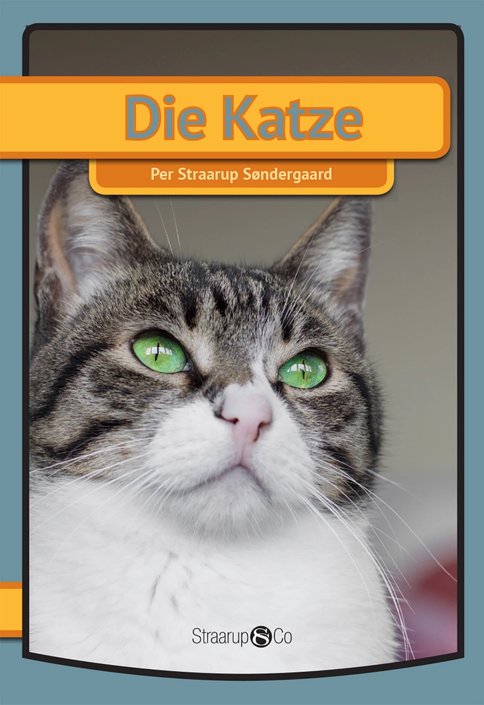 Die Katze