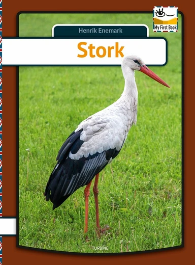 Stork - engelsk