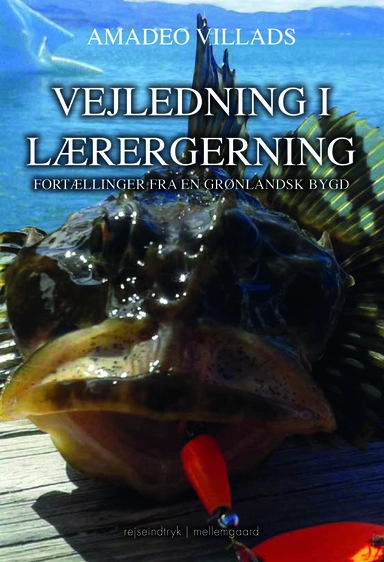 Vejledning i læregerning