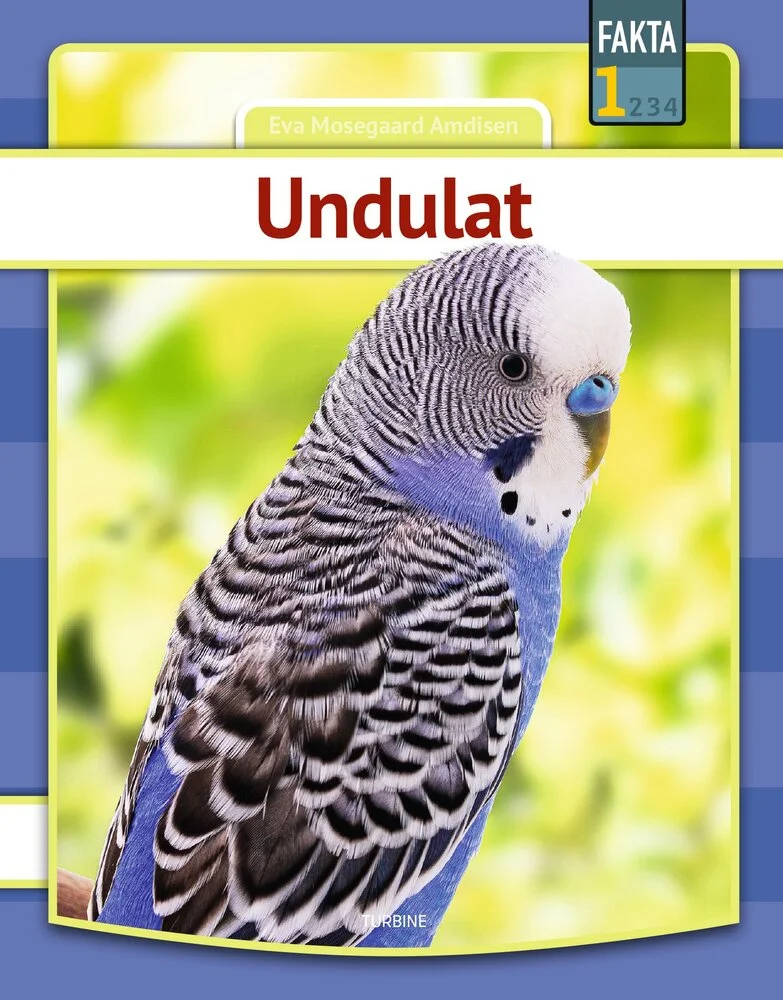 Billede af Undulat