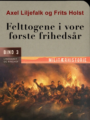 Felttogene i vore første frihedsår. Bind 3