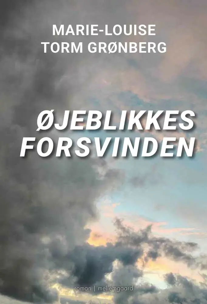 Billede af Øjeblikkes forsvinden