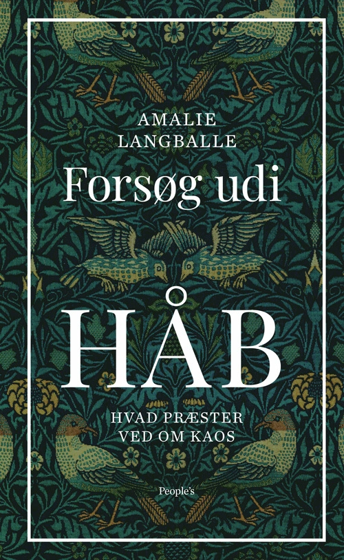 Billede af Forsøg udi håb