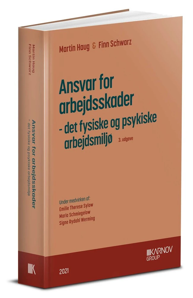 Ansvar for arbejdsskader - det fysiske og psykiske arbejdsmiljø