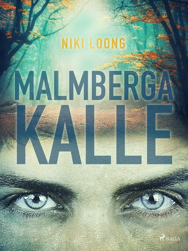 Malmbergakalle