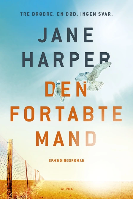 Billede af Den fortabte mand