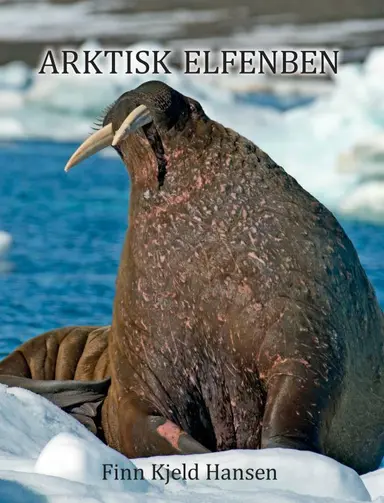 Arktisk Elfenben