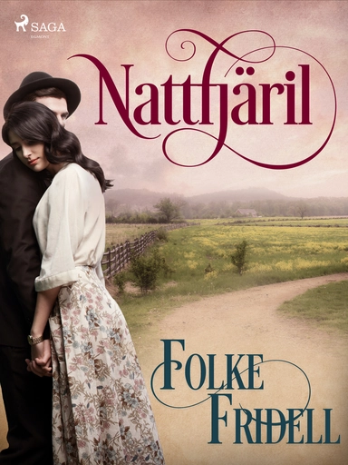 Nattfjäril