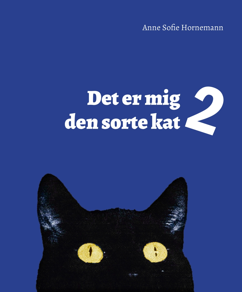 Billede af Det er mig den sorte kat 2