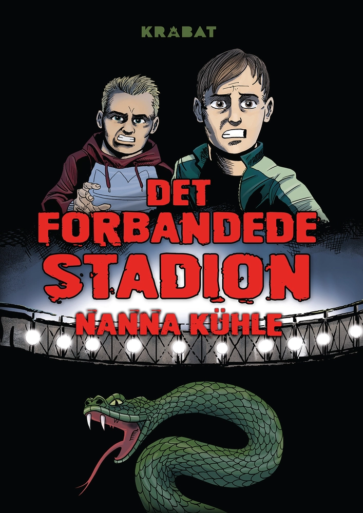 Billede af Det forbandede stadion