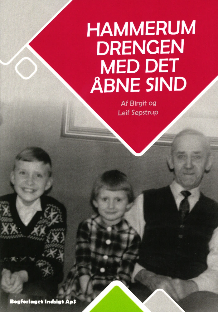 Billede af Hammerum Drengen Med Det Åbne Sind