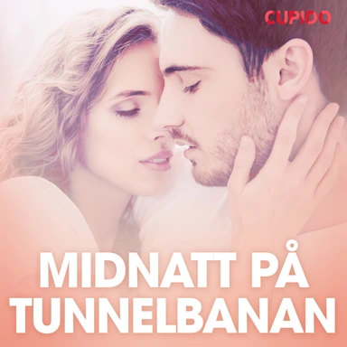 Midnatt på tunnelbanan – erotiska noveller