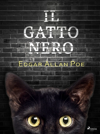Il gatto nero