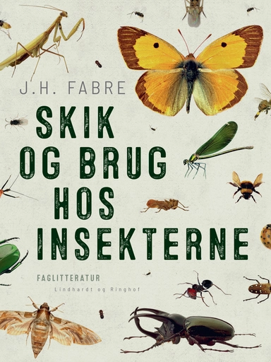 Skik og brug hos insekterne
