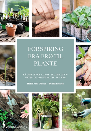 Forspiring fra frø til plante