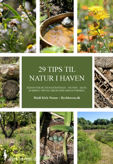 29 tips til natur i haven