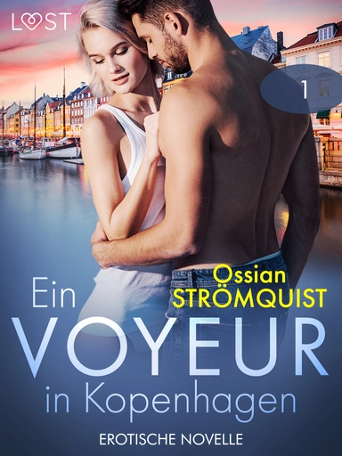 Ein Voyeur in Kopenhagen 1 - Erotische Novelle