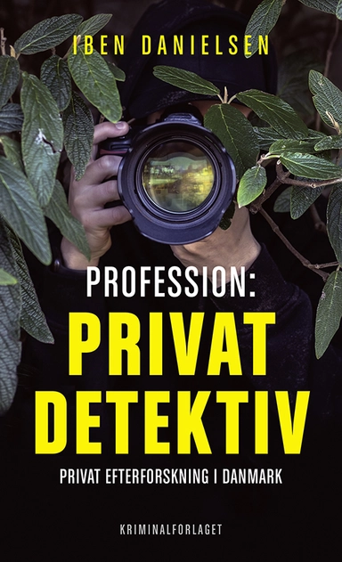 Profession: privatdetektiv