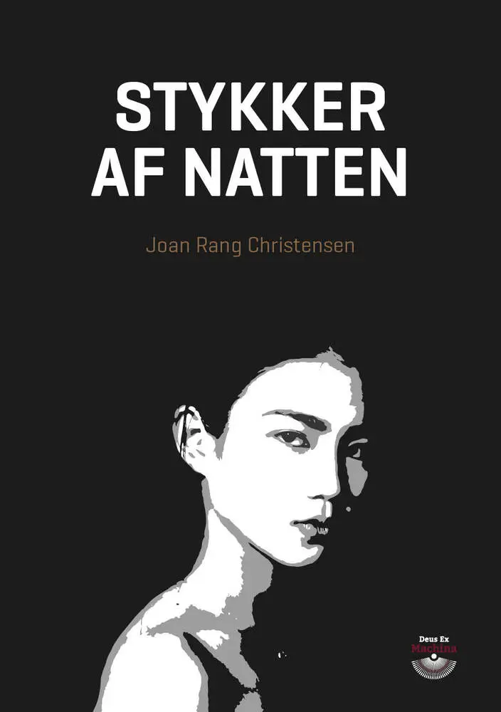 Billede af Stykker af natten