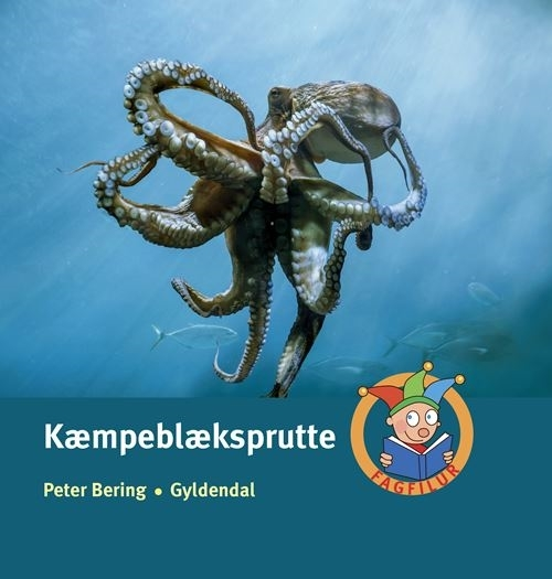 Kæmpeblæksprutte