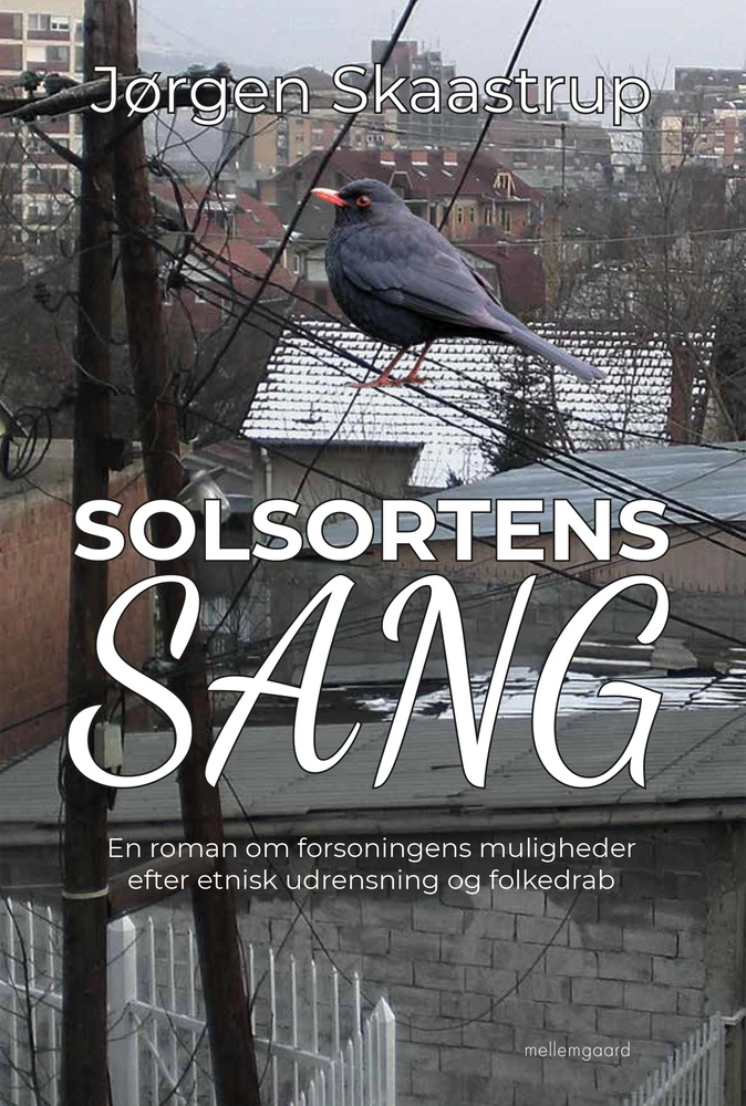 Billede af Solsortens sang