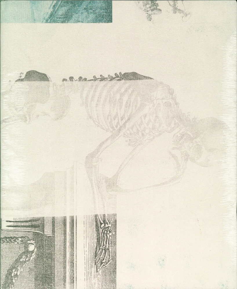 Robert Rauschenberg Lurid Attack